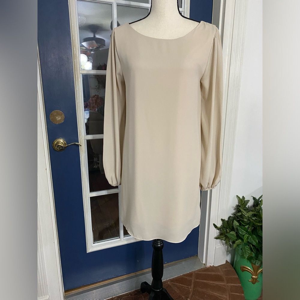 Nymph chiffon balloon sleeve lined nude tone dress size medium